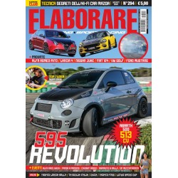 ELABORARE n° 294 - 2025...